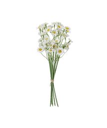 Francfranc(�t�����t����)�̃A�[�g�t�����[ �v�`�f�C�W�[ �o���h�� �z���C�g(�C���e���A�G��)