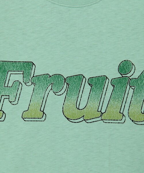 fredy couleur(フレディクルール)の「【FRUIT OF THE LOOM】19/-スラブ天竺FruitロゴT(Tシャツ/カットソー・レディース・サックスブルー/オフホワイト/チャコールグレー・M)」の19枚目の写真