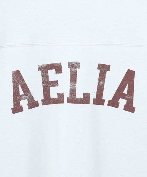 23区 L(ニジュウサンクオオキイサイズ)の「リラックス ロゴTシャツ(Tシャツ/カットソー・レディース・ホワイト系/スカイブルー系/ライトグレー系/ダークブラウン系・44/46)」の7枚目の写真