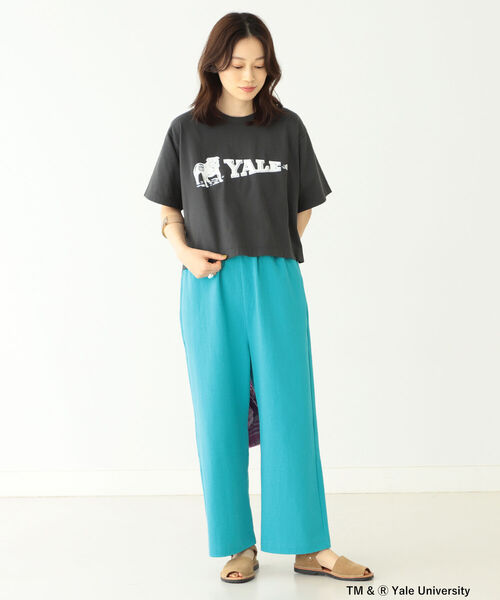 BEAMS BOY(ビームスボーイ)の「BEAMS BOY / US カレッジ Tシャツ 22SS(Tシャツ/カットソー・レディース・ホワイト/ブラック/ナチュラル・ONE SIZE)」の13枚目の写真