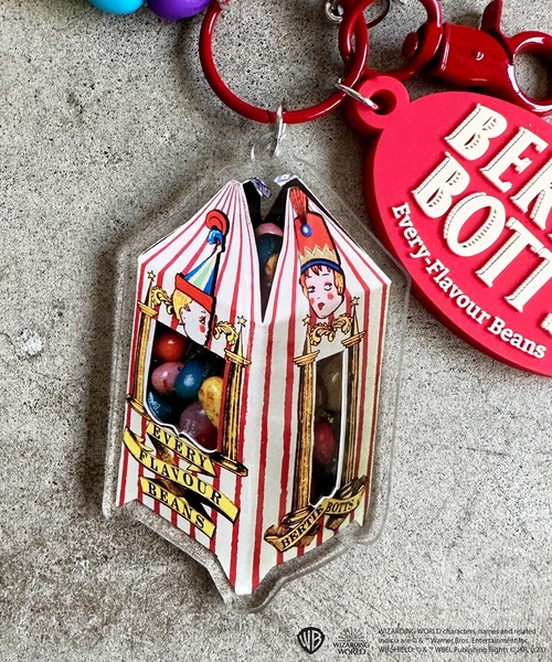 FLAPPER フラッパー:ハリー・ポッター じゃらじゃらチャーム（チャーム