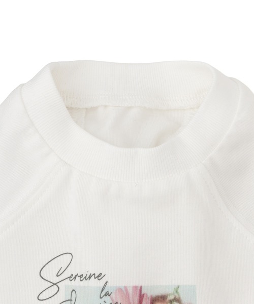 ROPE' PICNIC(ロペピクニック)の「【DOG】RENU photo Tee/UVカット・接触冷感・リンクコーデ(ペットウェア・レディース・ホワイト系その他2/ホワイト系その他3・D/S/M/L)」の4枚目の写真