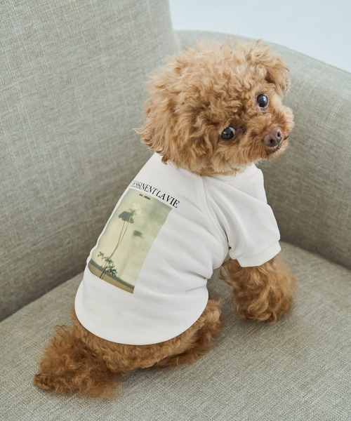 ROPE' PICNIC(ロペピクニック)の「【DOG】RENU photo Tee/UVカット・接触冷感・リンクコーデ(ペットウェア・レディース・ホワイト系その他2/ホワイト系その他3・D/S/M/L)」の18枚目の写真