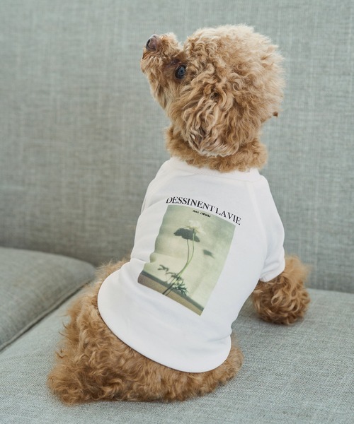 ROPE' PICNIC(ロペピクニック)の「【DOG】RENU photo Tee/UVカット・接触冷感・リンクコーデ(ペットウェア・レディース・ホワイト系その他2/ホワイト系その他3・D/S/M/L)」の19枚目の写真