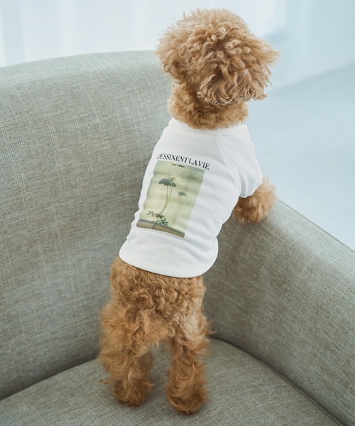 ROPE' PICNIC(ロペピクニック)の「【DOG】RENU photo Tee/UVカット・接触冷感・リンクコーデ(ペットウェア・レディース・ホワイト系その他2/ホワイト系その他3・D/S/M/L)」の20枚目の写真