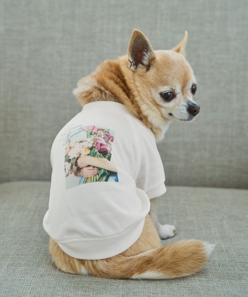 ROPE' PICNIC(ロペピクニック)の「【DOG】RENU photo Tee/UVカット・接触冷感・リンクコーデ(ペットウェア・レディース・ホワイト系その他2/ホワイト系その他3・D/S/M/L)」の11枚目の写真