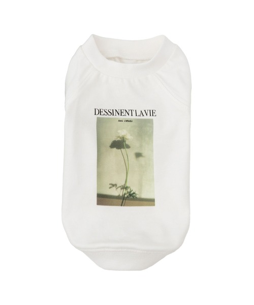 ROPE' PICNIC(ロペピクニック)の「【DOG】RENU photo Tee/UVカット・接触冷感・リンクコーデ(ペットウェア・レディース・ホワイト系その他2/ホワイト系その他3・D/S/M/L)」の16枚目の写真