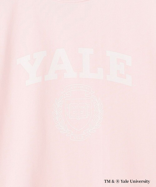 J.PRESS YORK STREET(ジェイプレスヨークストリート)の「【YALE別注】【UNISEX】カレッジ プリント Tシャツ(Tシャツ/カットソー・メンズ・ピンク系/ライトグレー系8/ホワイト系・SMALL/MEDIUM/LARGE)」の6枚目の写真