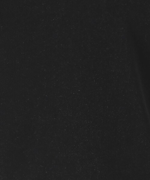 COUP DE CHANCE（クードシャンス）の「【洗える／日本製】ベロア調プルオーバージャージ（Tシャツ/カットソー・レディース・ホワイト/ブラック・36/38/40/34）」の14枚目の写真