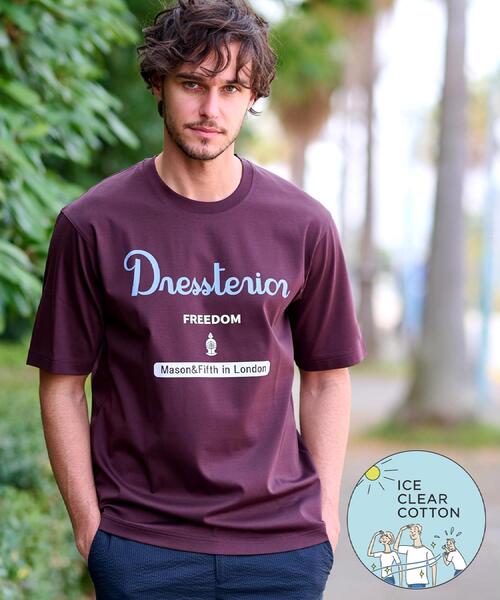 DRESSTERIOR（ドレステリア）の「【接触冷感/抗菌防臭/消臭】ICE CLEAR COTTON ロゴT（Tシャツ/カットソー・メンズ・ダークブラウン/ホワイト/ブラック/ネイビー・90/91/92/94）」の3枚目の写真