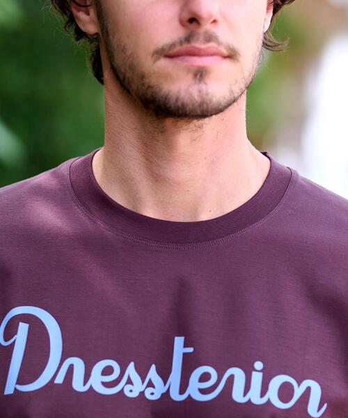 DRESSTERIOR（ドレステリア）の「【接触冷感/抗菌防臭/消臭】ICE CLEAR COTTON ロゴT（Tシャツ/カットソー・メンズ・ダークブラウン/ホワイト/ブラック/ネイビー・90/91/92/94）」の5枚目の写真