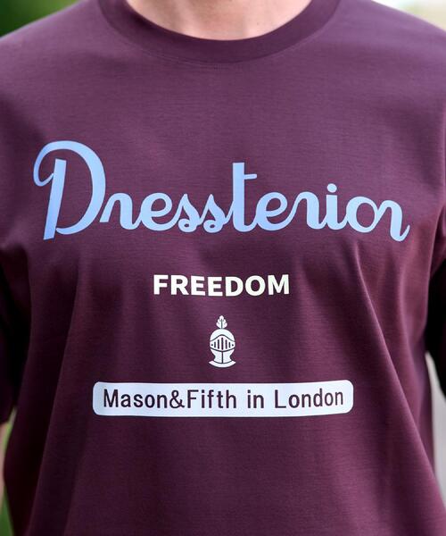 DRESSTERIOR（ドレステリア）の「【接触冷感/抗菌防臭/消臭】ICE CLEAR COTTON ロゴT（Tシャツ/カットソー・メンズ・ダークブラウン/ホワイト/ブラック/ネイビー・90/91/92/94）」の6枚目の写真