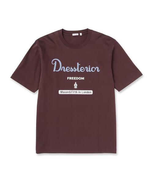 DRESSTERIOR（ドレステリア）の「【接触冷感/抗菌防臭/消臭】ICE CLEAR COTTON ロゴT（Tシャツ/カットソー・メンズ・ダークブラウン/ホワイト/ブラック/ネイビー・90/91/92/94）」の17枚目の写真