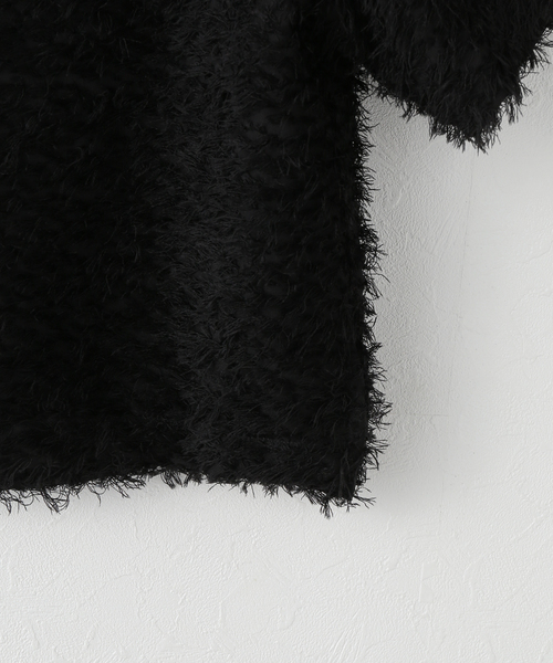 フェザーTブラウス（シャツ/ブラウス）｜Spick & Span（スピックアンド