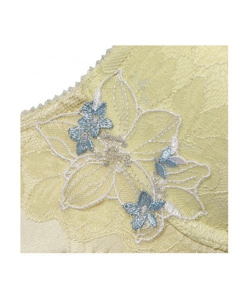 AMOSTYLE BY Triumph（アモスタイルバイトリンプ）の「夢みるブラ DeepV ブラジャー2 アップルブロッサム【A,B,C,Dカップ】 AMST1540 WHU2 JX（ブラジャー・レディース・グリーン/ブラウン/パープル・C65/A75/A70/B75/D70/C70/B70/B65/D80/D75/D65/C75）」の14枚目の写真