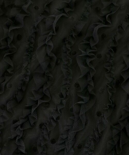 le.coeur blanc（ルクールブラン）の「《手洗い可能》TORRAZZO DONNA別注ベロアドットチュールスカート（スカート・レディース・ブラック・38）」の17枚目の写真