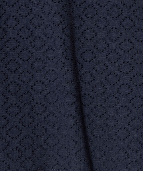 A DAY IN THE LIFE UNITED ARROWS(アデイインザライフユナイテッドアローズ)の「アイレットレース フレンチスリーブTシャツ <A DAY IN THE LIFE>(Tシャツ/カットソー・レディース・ネイビー/ダークグレー/オフホワイト・FREE)」の12枚目の写真