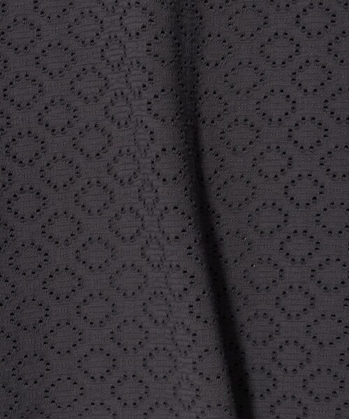 A DAY IN THE LIFE UNITED ARROWS(アデイインザライフユナイテッドアローズ)の「アイレットレース フレンチスリーブTシャツ <A DAY IN THE LIFE>(Tシャツ/カットソー・レディース・ネイビー/ダークグレー/オフホワイト・FREE)」の17枚目の写真
