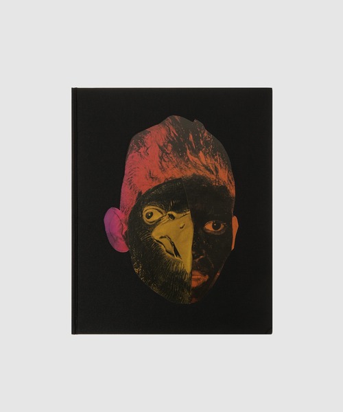 Vasantha Yogananthan / AFTERLIFE