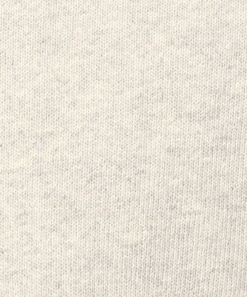 THE SHOP TK （ザ ショップ ティーケー ）の「◆ハーフジップスウェット（スウェット・メンズ・オフホワイト/ライトグレー/ベージュ・02/03）」の22枚目の写真