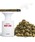 bpr BEAMS�i�r�[�s�[�A�[�� �r�[���X �j�́uBORNTOSTANDOUT / EAU DE PARFUM 4�i�����j�v�b�o�C�I���b�g