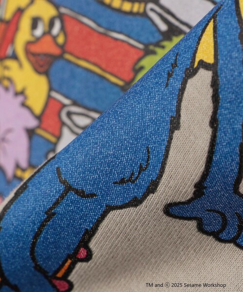 SHIPS any（シップス エニィ）の「FRUIT OF THE LOOM: SESAME STREET プリント Tシャツ<KIDS>（Tシャツ/カットソー・キッズ・ダークグレー/ホワイト/ライトグレー/ライトグリーン・110/150/130）」の21枚目の写真