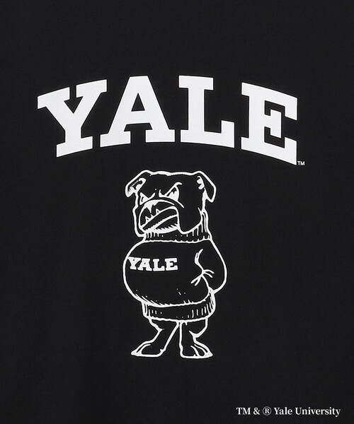 J.PRESS YORK STREET（ジェイプレスヨークストリート）の「【YALE別注】【UNISEX】ブルドッグ プリント Tシャツ（Tシャツ/カットソー・メンズ・ブラック系/ホワイト系/ライトグリーン系・SMALL/LARGE/MEDIUM）」の6枚目の写真