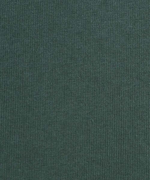 PairPair（ペアペア）の「NORTHENDカレッジビッグT(ユニセックス)（Tシャツ/カットソー・レディース・スミクロ/グリーン/オフホワイト・FREE）」の9枚目の写真