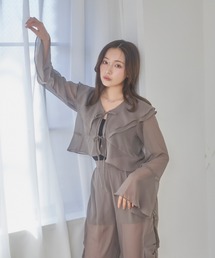 ANDGEEBEE | シアーベルスリーブブラウス(シャツ/ブラウス)