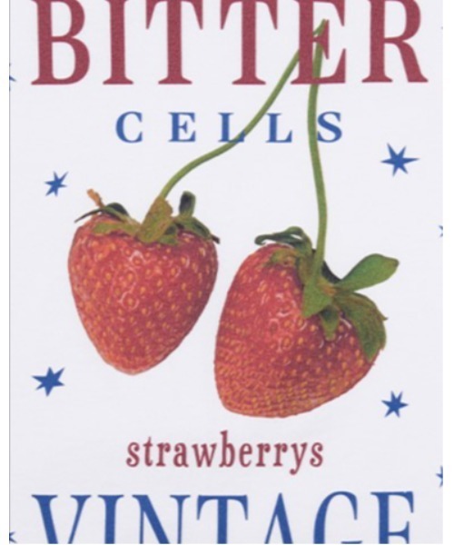 BITTER CELLS（ビターセルズ）の「BITTER CELLS／BERRY Tシャツ（Tシャツ/カットソー・レディース・ホワイト/ピンク/ブラック・SMALL）」の10枚目の写真
