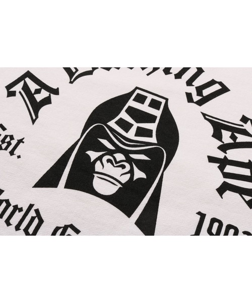 WASHED EFFECT SWEATSHIRT（スウェット）｜A BATHING APE（ア