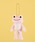 salle de bal�i�T���f�o���j�́u�y ������̃s�N���X / pickles the frog �z�ɂ�����s�N���X �}�X�R�b�g�@NJI�i�L�[�z���_�[�j�v�b�s���N