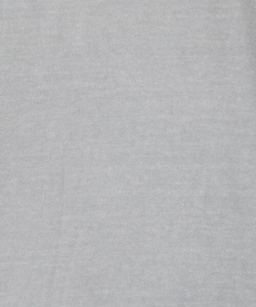 JAMES PERSE(ジェームスパース)の「コットンジャージー ラウンジTシャツ MLJ3311(Tシャツ/カットソー・メンズ・ライトブルー/グレー/ライトグレー/イエロー・0/2/3/1)」の11枚目の写真