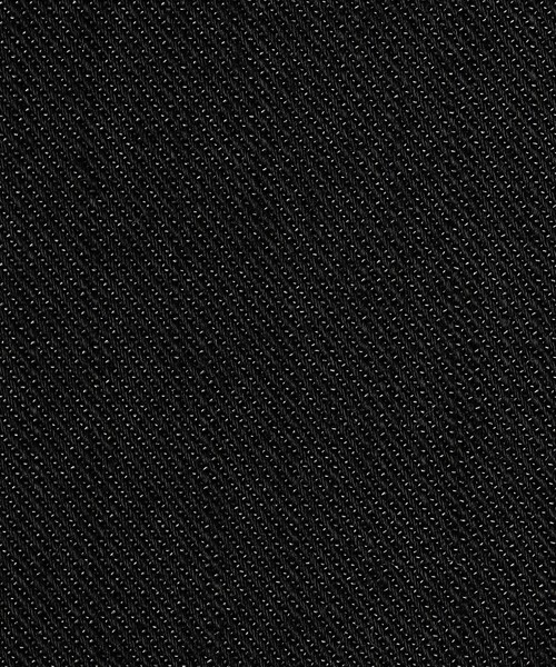 BALLSEY（ボールジィ）の「ラスターデニム ミドルジレ（ベスト・レディース・ブラック/ネイビー・36）」の3枚目の写真