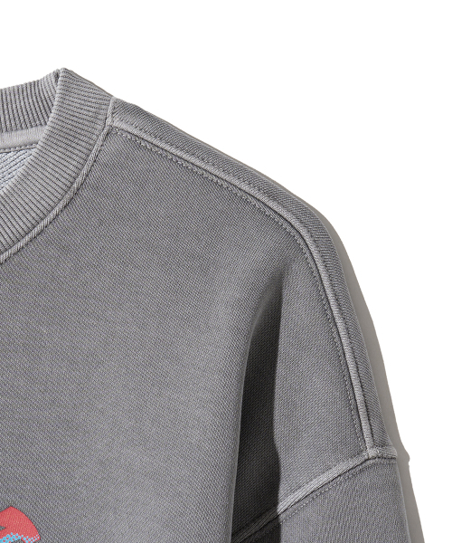 GAKKAI UNIONS(ガッカイユニオンズ)の「ラッキーピグメント スウェット ストーングレー(スウェット・レディース・その他・SMALL/MEDIUM/LARGE/X-LARGE)」の5枚目の写真