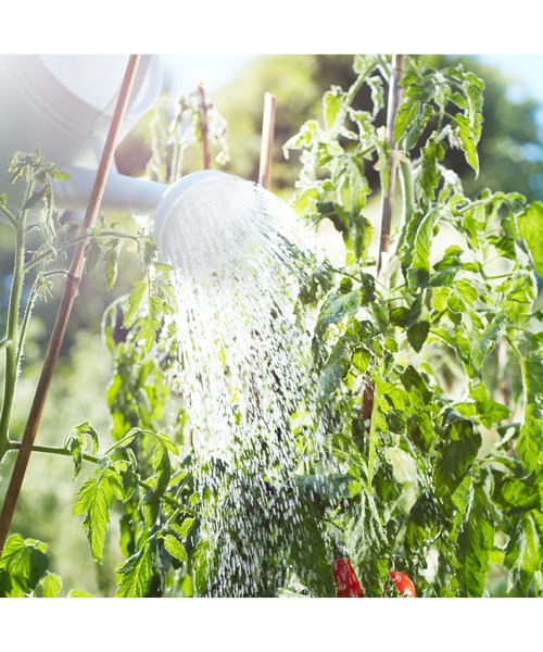 レプリカ オードトワレ フロム ザ ガーデン (10mL)（香水）｜Maison