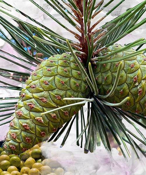 ジプシー ウォーター ロールオンパフューム 7.5ml（香水）｜BYREDO