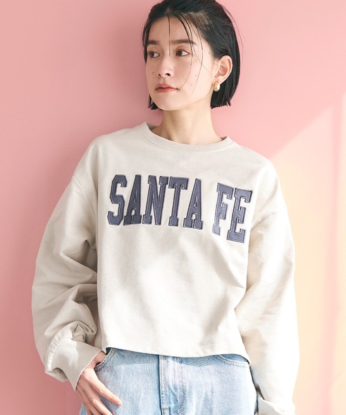 sttusy クロップド スウェット セール】アソートロゴクロップドスウェットトップス(スウェット