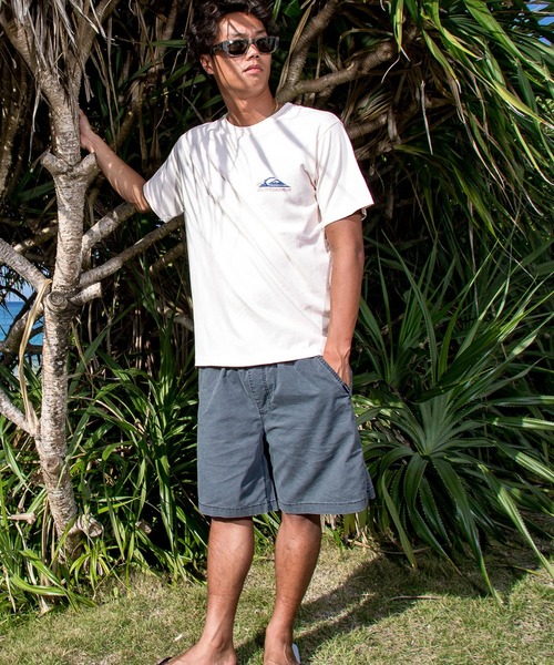 Quiksilver(クイックシルバー)の「QUIKSILVER/クイックシルバー ハーフパンツ ショートパンツ ウォークショーツ 19インチ EQYWS03915(その他パンツ・メンズ・ライトブルー/アッシュブラウン/ブラック/グリーン/ベビーピンク・M/S)」の8枚目の写真