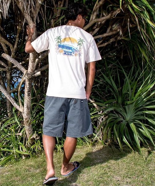Quiksilver(クイックシルバー)の「QUIKSILVER/クイックシルバー ハーフパンツ ショートパンツ ウォークショーツ 19インチ EQYWS03915(その他パンツ・メンズ・ライトブルー/アッシュブラウン/ブラック/グリーン/ベビーピンク・M/S)」の9枚目の写真