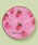 Flowering�i�t�����[�����O�j�́uPLUS FOR me/�A�j�}��/�t���[�c/�K�[���[/�R���p�N�g�~���[�i�苾/���C�N�~���[�j�v�b�s���N