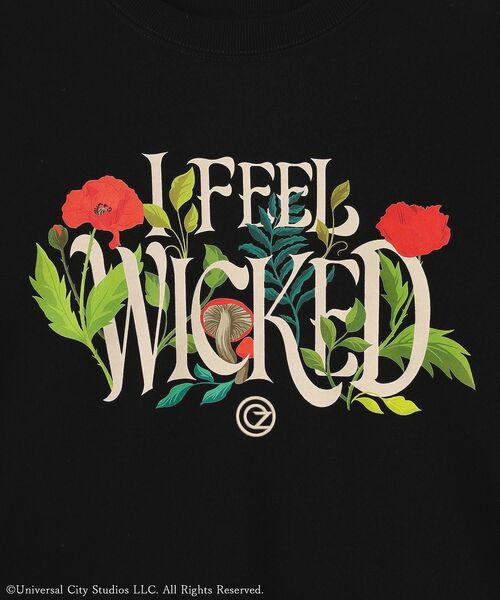 Green Parks(グリーンパークス)の「WICKED アートロゴグラフィックスウェット(スウェット・レディース・ブラック・FREE)」の12枚目の写真