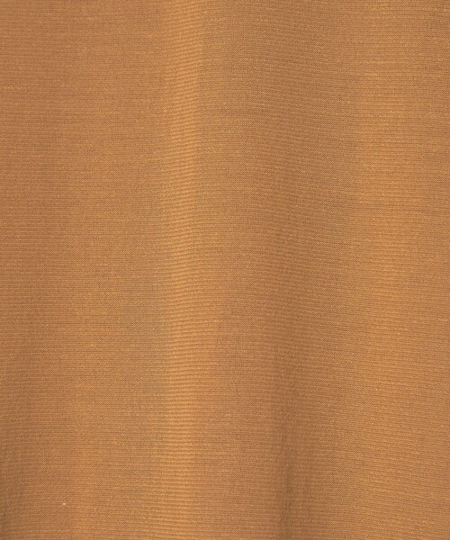 conte（コンテ）の「＜conte＞コットン シアー クルーネックTシャツ（Tシャツ/カットソー・レディース・ブラック/ホワイト/ダークブラウン/オレンジ・FREE）」の11枚目の写真