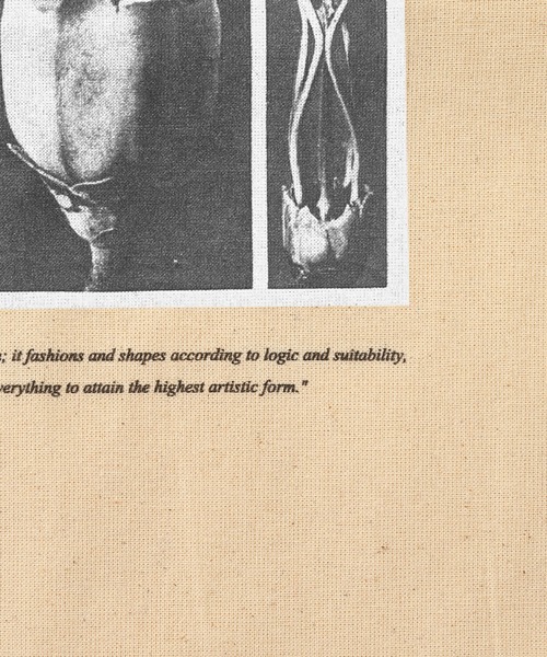 SLOBE IENA（スローブイエナ）の「【Karl Blossfeldt/カールブロスフェルト】SLOBE別注 トートバッグ◆（トートバッグ・レディース・ホワイト/ホワイト系その他/ホワイト系その他2・FREE）」の10枚目の写真