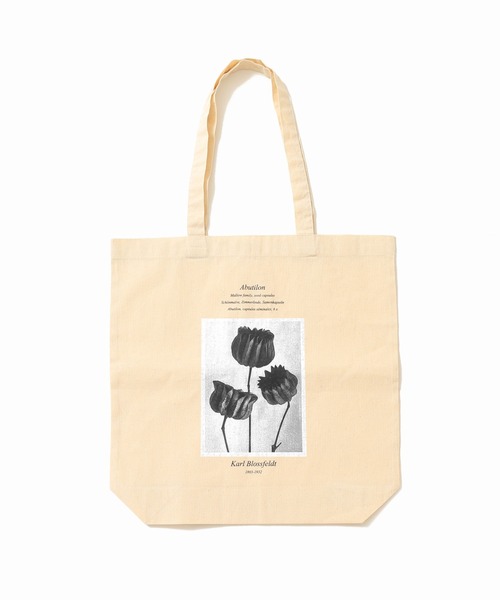SLOBE IENA（スローブイエナ）の「【Karl Blossfeldt/カールブロスフェルト】SLOBE別注 トートバッグ◆（トートバッグ・レディース・ホワイト/ホワイト系その他/ホワイト系その他2・FREE）」の11枚目の写真