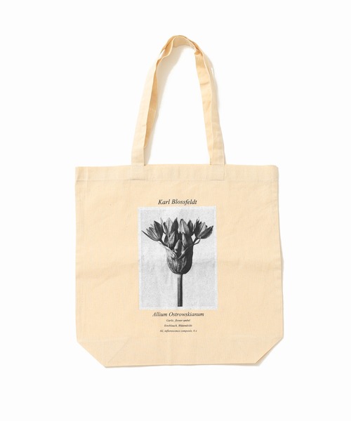 SLOBE IENA（スローブイエナ）の「【Karl Blossfeldt/カールブロスフェルト】SLOBE別注 トートバッグ◆（トートバッグ・レディース・ホワイト/ホワイト系その他/ホワイト系その他2・FREE）」の14枚目の写真