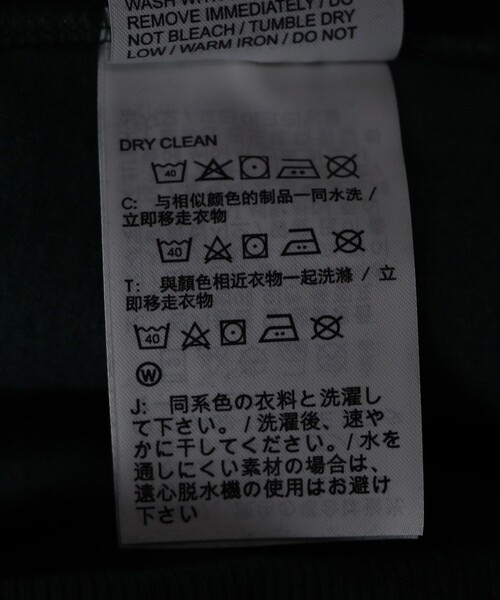 NIKE(ナイキ)の「NIKE/ナイキ フラッグプルオーバーフーディー/ナイキ スポーツウェア オーバーサイズド フリース パーカー(パーカー・レディース・ブラック/ホワイト/グリーン・MEDIUM)」の19枚目の写真