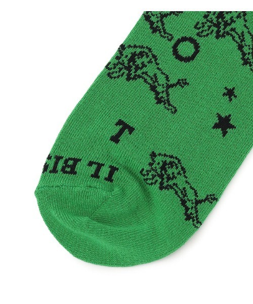 IL BISONTE（イルビゾンテ）の「IL BISONTE / ソックス / 2024 AUTUMN WINTER（ソックス/靴下・レディース・ブラック/ブルー/グリーン/ホワイト/ベージュ・1/2）」の10枚目の写真