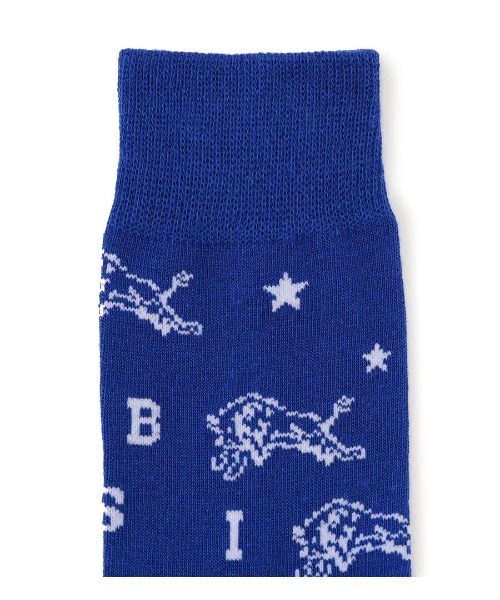 IL BISONTE（イルビゾンテ）の「IL BISONTE / ソックス / 2024 AUTUMN WINTER（ソックス/靴下・レディース・ブラック/ブルー/グリーン/ホワイト/ベージュ・1/2）」の12枚目の写真