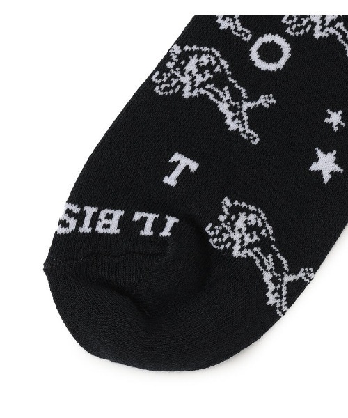 IL BISONTE（イルビゾンテ）の「IL BISONTE / ソックス / 2024 AUTUMN WINTER（ソックス/靴下・レディース・ブラック/ブルー/グリーン/ホワイト/ベージュ・1/2）」の13枚目の写真